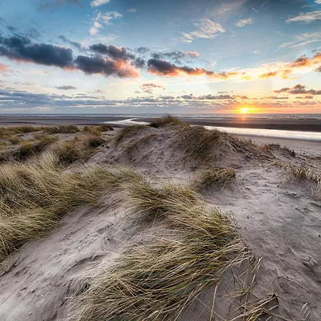 Appartement In Near Zwin Reserve