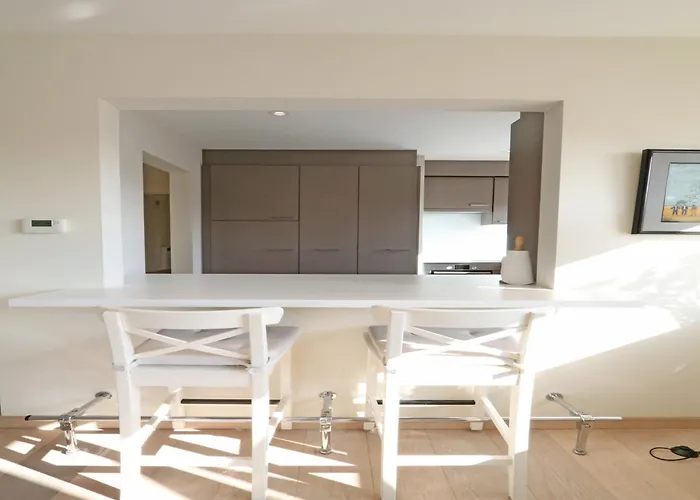 In Near Zwin Reserve Appartement