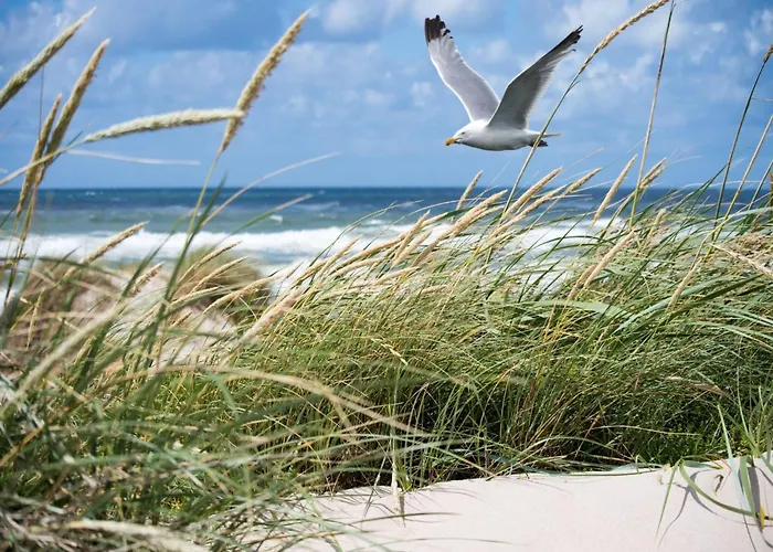 In Near Zwin Reserve * Knokke-Heist