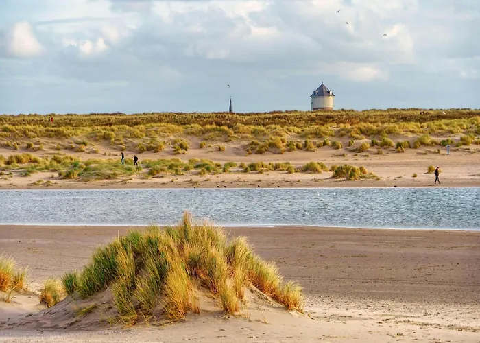 In Near Zwin Reserve *