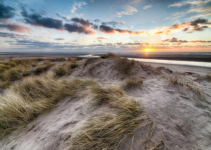 In Near Zwin Reserve Appartement *